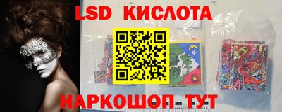 стаф Сланцы