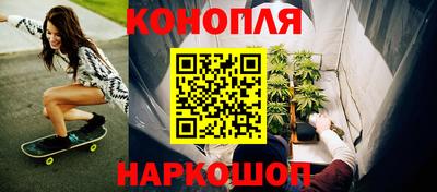 стаф Сланцы