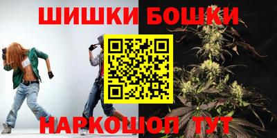 стаф Сланцы
