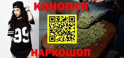 стаф Сланцы