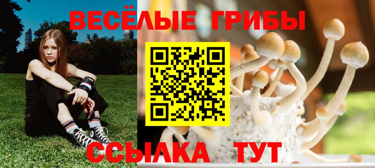 как найти закладки  Псилоцибиновые грибы Psilocybe  Вход с VPN  Галлюциногенные грибы MAGIC MUSHROOMS  Протвино 